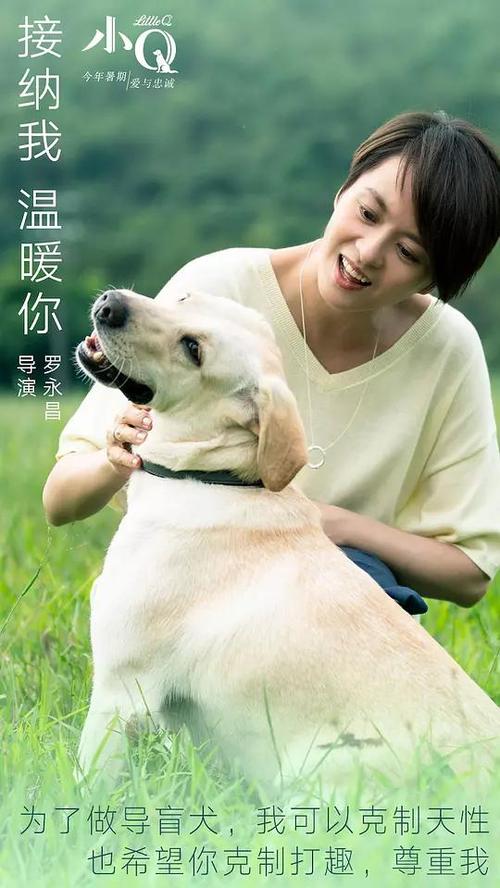 洪堡州立大学公共管理文凭证书